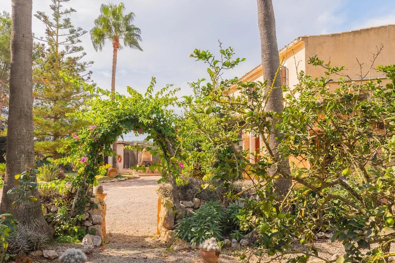 Finca Sitjoles Campos  Spain