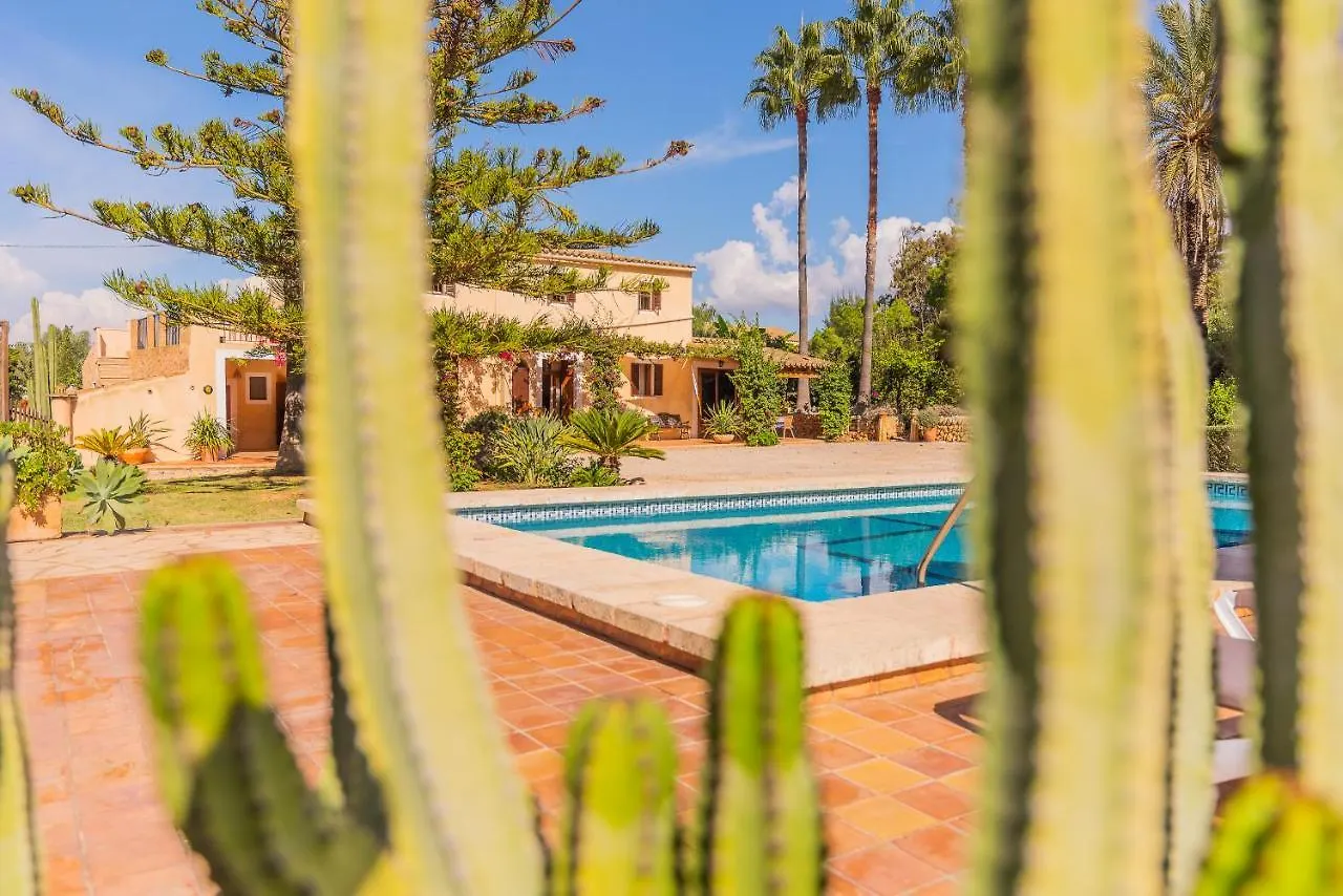 Holiday home Finca Sitjoles Campos  Spain