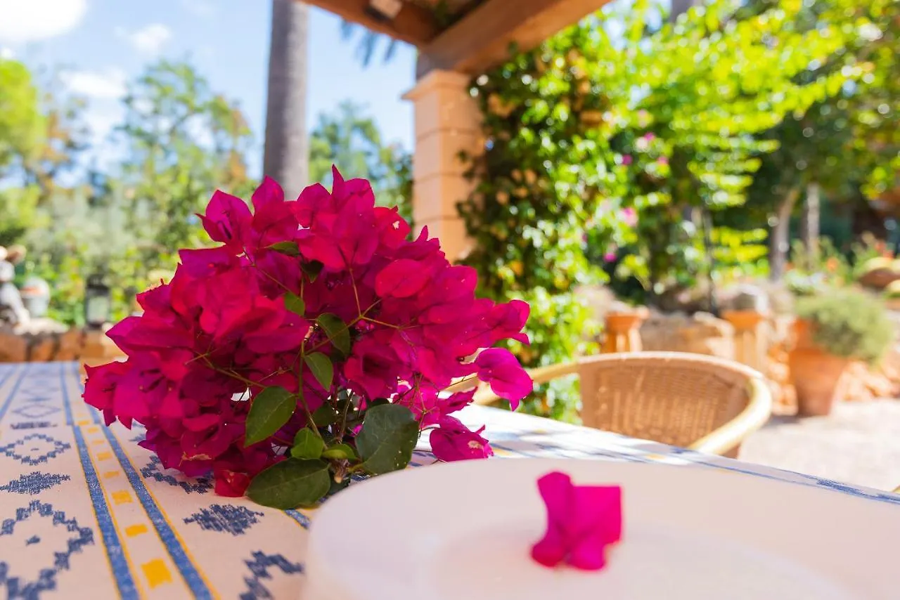 Holiday home Finca Sitjoles Campos