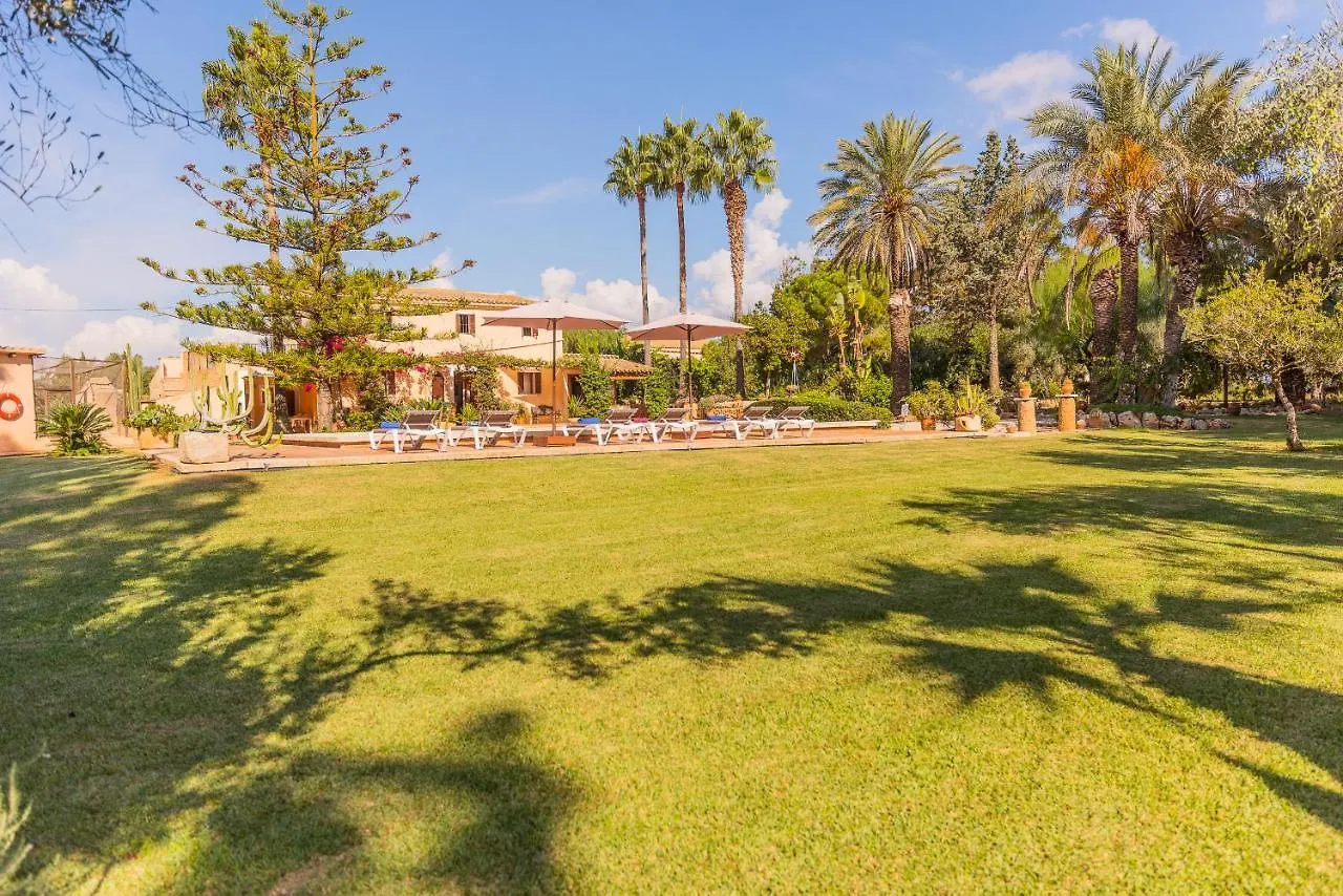 Finca Sitjoles Campos  Spain